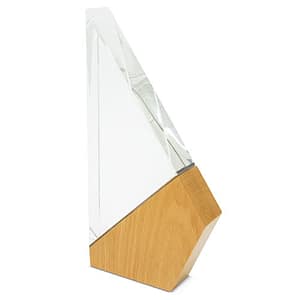 TROFEO MODELLO "VELA"