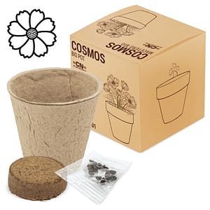 VASO CON SEMI BIO "RAMILLETE" (COSMEA)