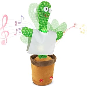 CACTUS BALLERINO "PANCHITO"