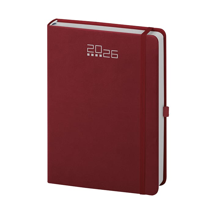 AGENDA GIORNALIERA - immagine 6